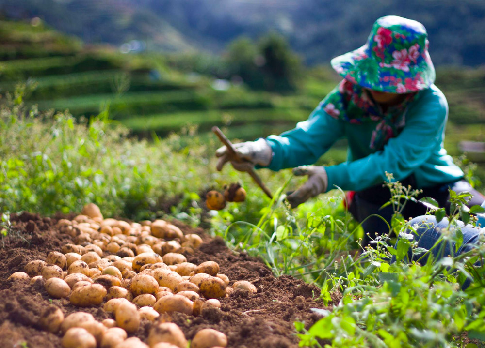 Rural Development