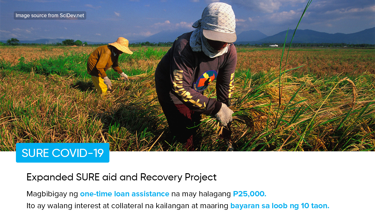 SURE COVID-19: Expanded SURE Aid and Recovery Project