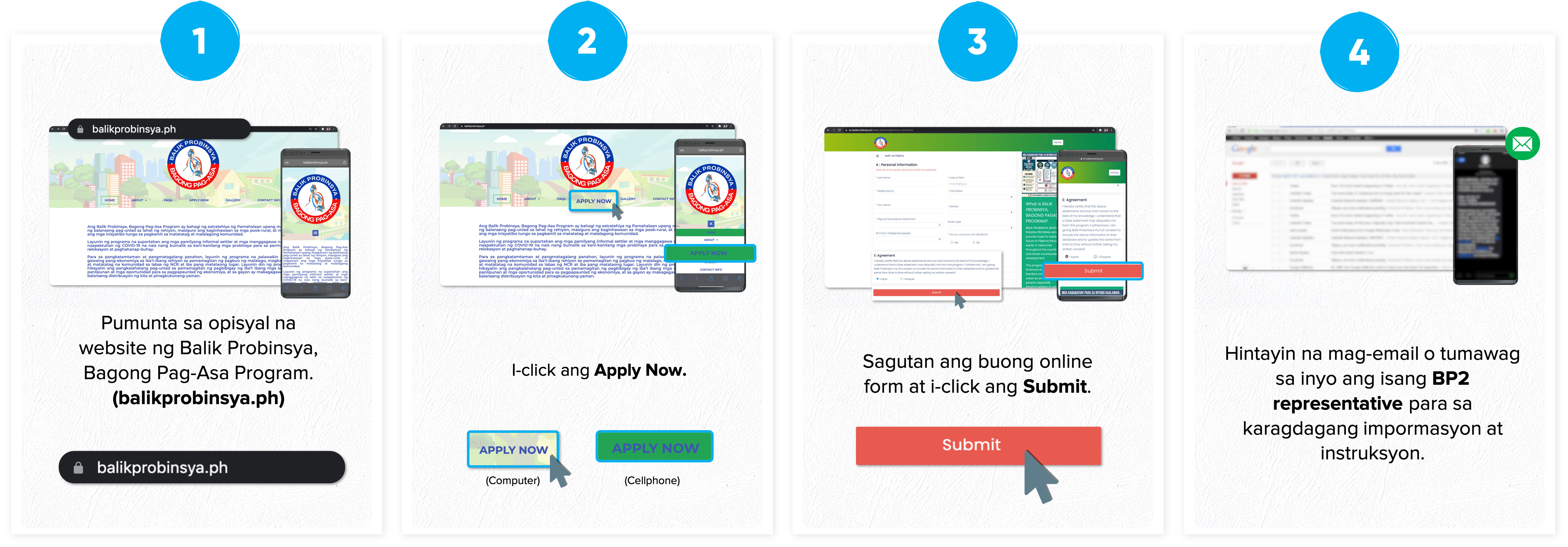 BP2 Online Application